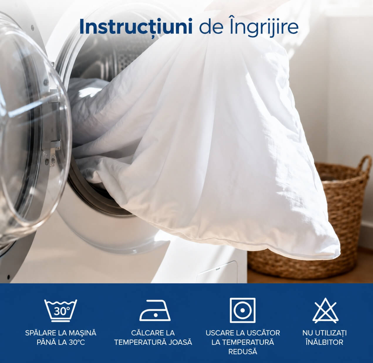 Text alternativ imagine