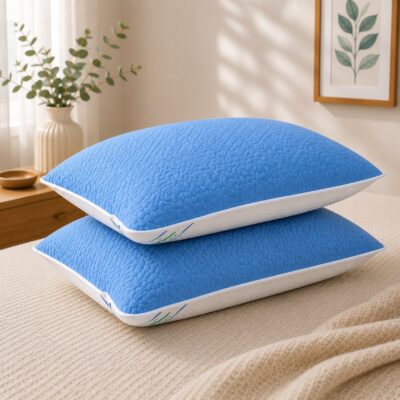 Set 2 Perne 50x70 cm, Puf Siliconizat Antialergic, Față Vară/Iarnă, Bleu/Alb